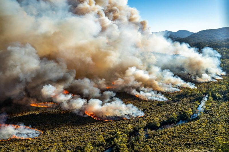 
Còn ở miền Nam Australia, hàng chục khu rừng tự bốc cháy, phá hủy hàng loạt ngôi nhà và tài sản, đất đai nông nghiệp, trang trại của người dân.