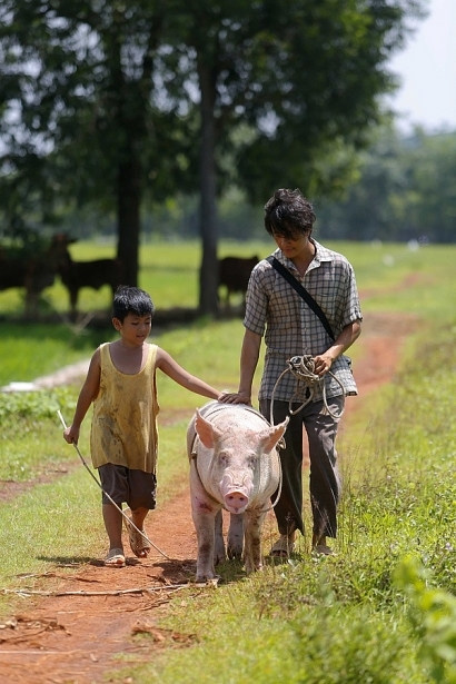 Khi những chú lợn ủn ỉn trở thành “diễn viên” hot phim Việt, có chú giúp phim hốt 100 tỉ dễ dàng