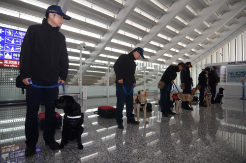 
Kể từ sau khi một du khách Việt Nam mang bánh mì có thịt dương tính với virus tả lợn, công tác kiểm tra tại sân bay của Đài Loan trở nên gắt gao hơn 