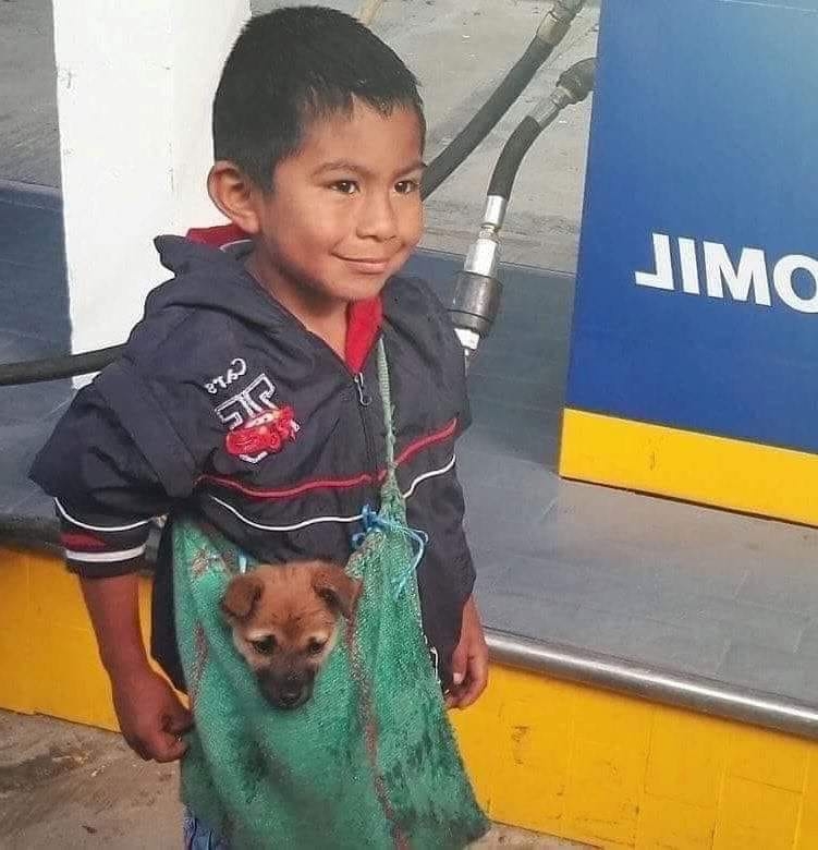 
Cậu bé ăn xin và một tình bạn đẹp dành cho chú cún nhỏ. 