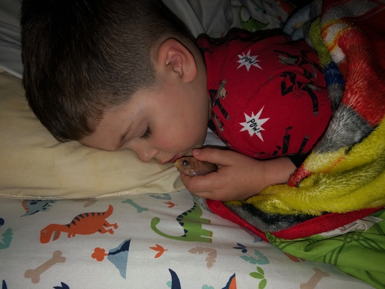 
Cậu bé Everett ôm chú cá Nemo ngủ ngon lành.