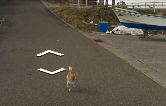 
Và từ đó trở đi, trên tất cả mọi khung hình của Google Street View đều xuất hiện hình ảnh rượt đuổi ngộ nghĩnh này của chú chó nghịch ngợm.