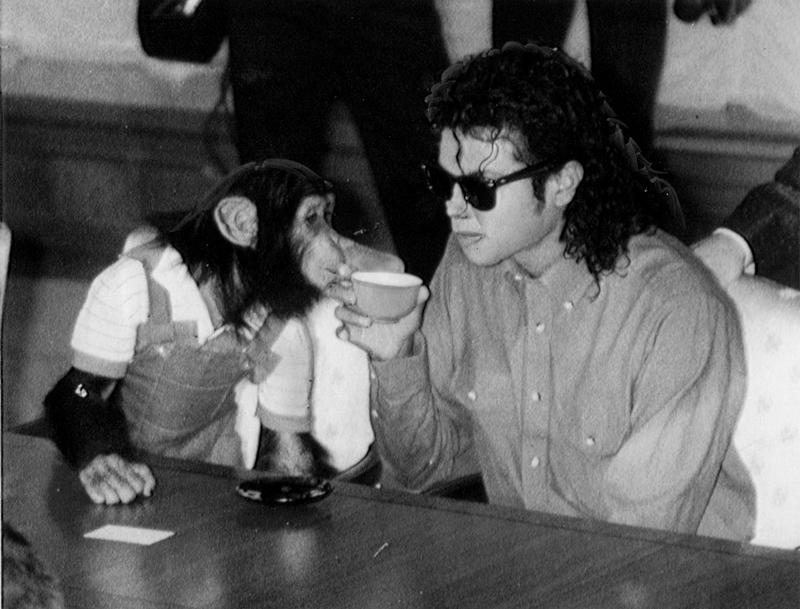 
Michael luôn muốn biết chú khỉ của mình đang nghĩ gì trong đầu.