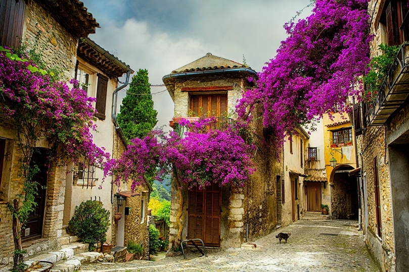 
Một ngôi làng nhỏ không tên nằm ở vùng Provence, nước Pháp, nơi còn lưu giữ lại những ngôi nhà cổ bằng đá, được điểm xuyến bằng những chùm bông giấy, những giàn nho và những khóm oải hương thơm ngát.