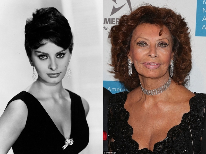 
Sophia Loren: Bà được mệnh danh là biểu tượng gợi cảm của thế giới với tài năng trong cả hai lĩnh vực nghệ thuật là điện ảnh và âm nhạc. Thật sự người ta có thể chết chìm trong ánh mắt của bà nếu chẳng may lỡ lạc lối trong đó.