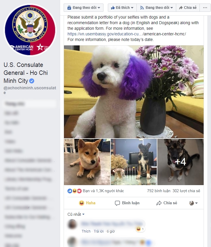 Dân mạng kéo nhau đi đăng ký chăm sóc cún cho Tổng lãnh sự quán Mỹ: Yêu cầu biết ngôn ngữ chó