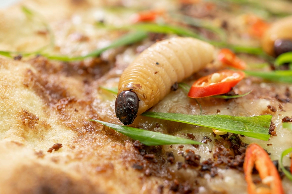 
Liệu có thực khách nào dám thử ăn pizza kết hợp với sinh vật sống bò ngoe nguẩy này hay không? 