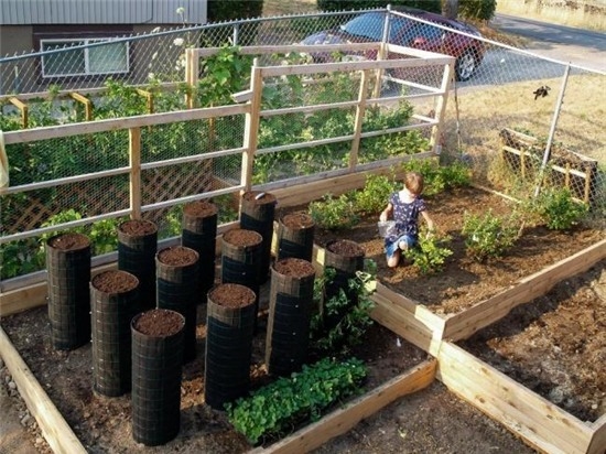  
Một cô bé sống tại Mỹ còn có quyết định "táo bạo" hơn khi trồng rau trong sân nhà để mọi người vô gia cư có thể lấy rau miễn phí tại đây. Mặc dù chỉ mới 9 tuổi nhưng hành động của bé lại khiến người khác không khỏi ngưỡng mộ