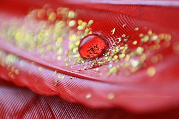 Nhóm máu hiếm nhất thế giới chỉ có 43 người sở hữu