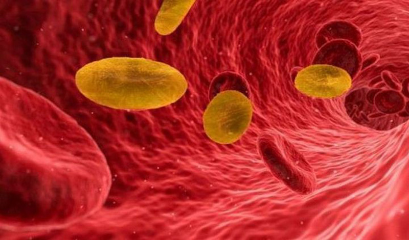 Nhóm máu hiếm nhất thế giới chỉ có 43 người sở hữu
