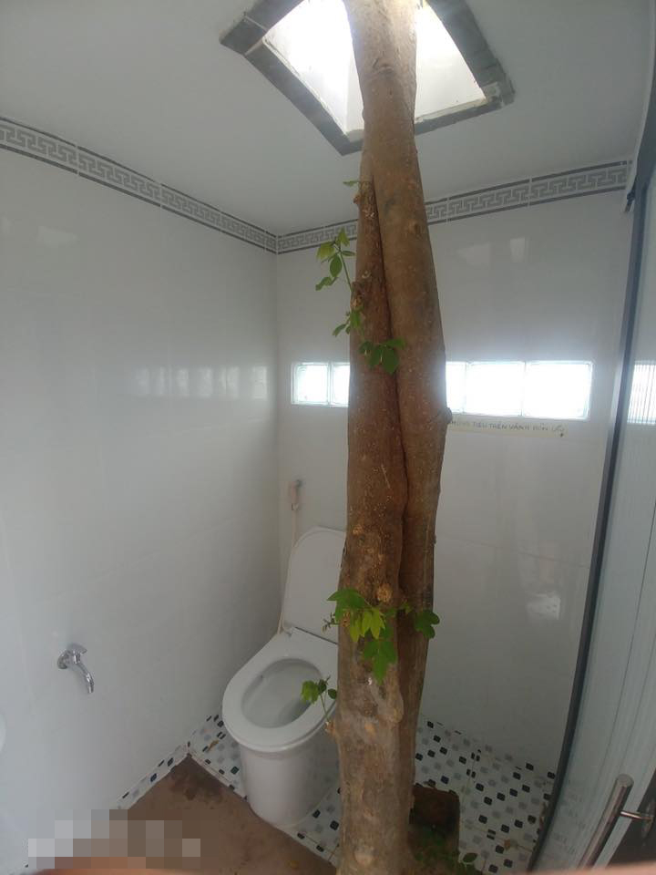  
Nhà vệ sinh vừa sạch sẽ, vừa đầy đủ tiện nghi lại có thêm cây xanh mát mắt nữa chứ. (Ảnh: L.T.H - Group K.S.C)