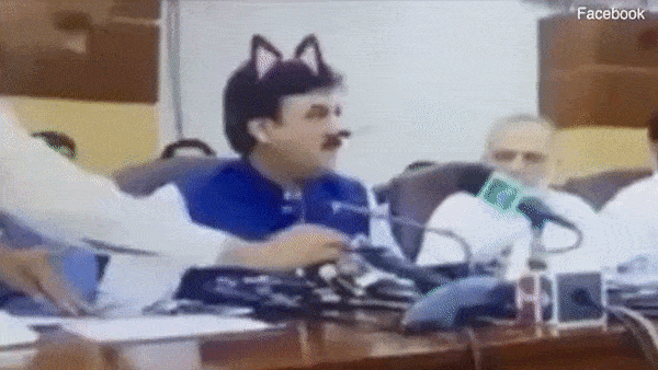 Khi bạn làm chính trị gia, đang livestream họp báo mà vô tình dính ngay filter mặt mèo