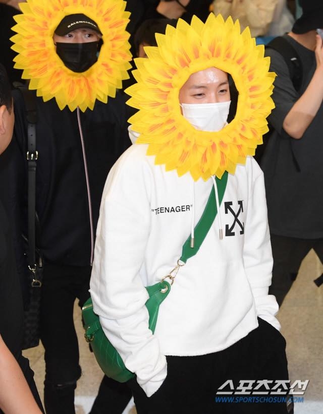 Thêm một hình phạt đến từ Run BTS: 3 bông hoa mặt trời đã chiếm toàn bộ 
