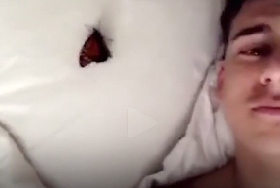 Mối quan hệ kỳ lạ của chàng trai 6 múi cùng nàng bướm: 