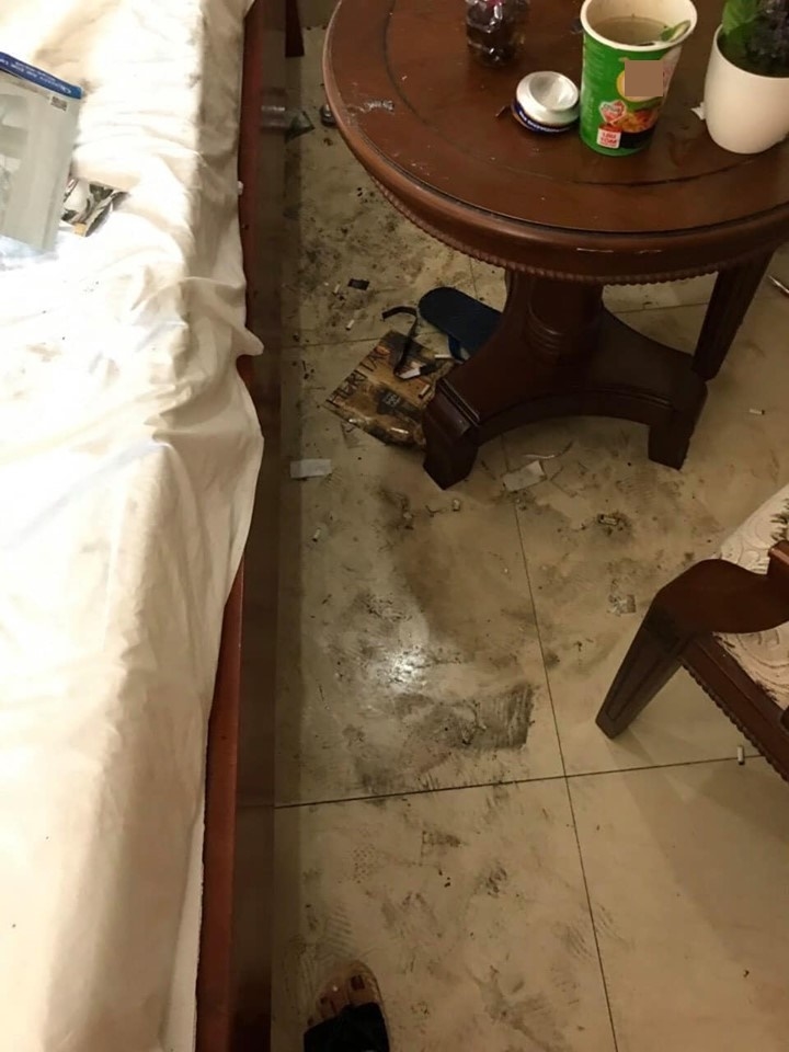 Bị phát hiện mang chó vào khách sạn, cặp đôi dọa review xấu rồi quay lại để chó phóng uế lên giường