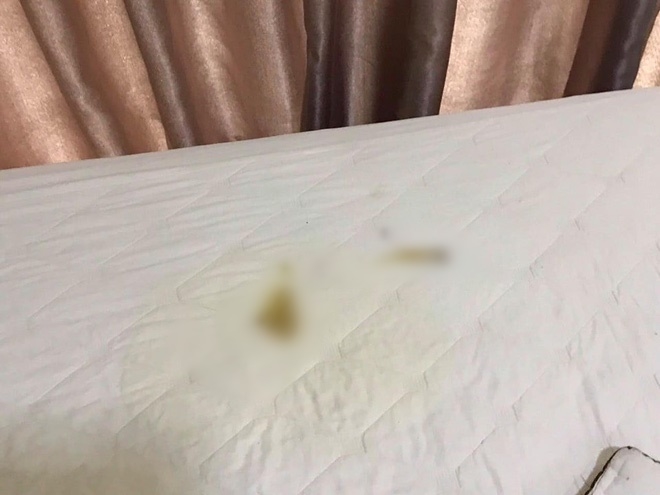 Bị phát hiện mang chó vào khách sạn, cặp đôi dọa review xấu rồi quay lại để chó phóng uế lên giường