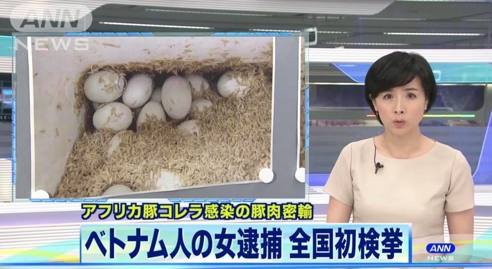 Nữ sinh Việt mang 10kg thịt lợn, 360 quả trứng vịt lộn sang Nhật có thể bị phạt 3 năm tù