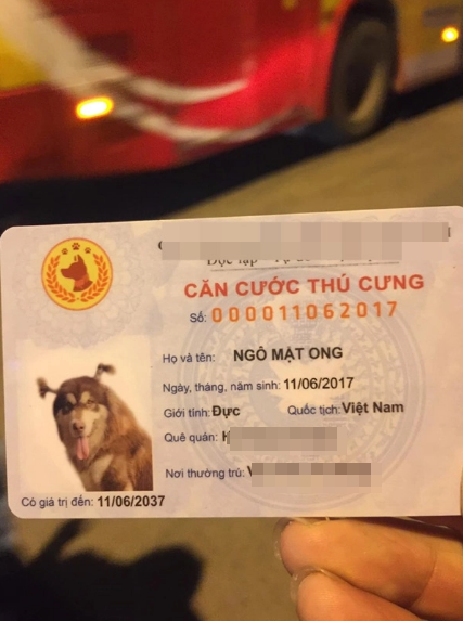 Tranh cãi việc cấp thẻ căn cước công dân cho thú cưng 