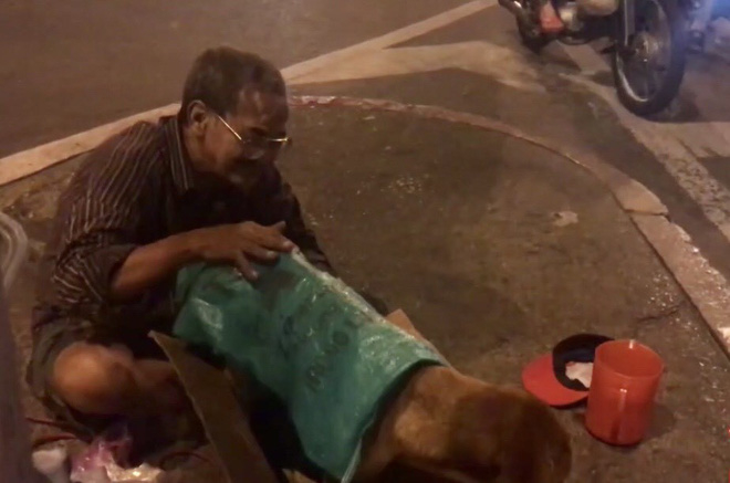 Cảm động trước hình ảnh cụ ông vô gia cư chăm sóc cho hai chú chó giữa đất Sài Gòn hoa lệ