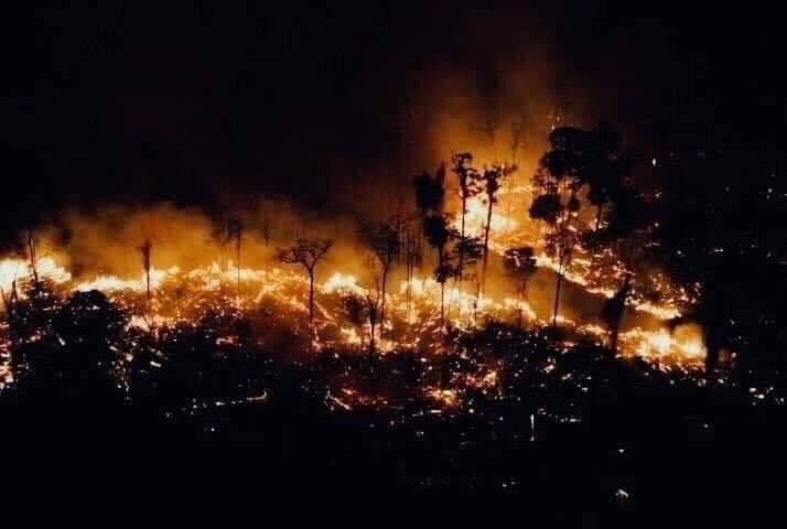  
Vụ cháy rừng nhiệt đới Amazon đã diễn ra trong nhiều ngày qua.