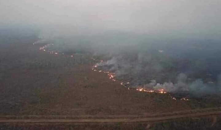 Ngầu như Justin và Miley: Thuê máy bay chở nước để dập lửa cháy ở rừng Amazon