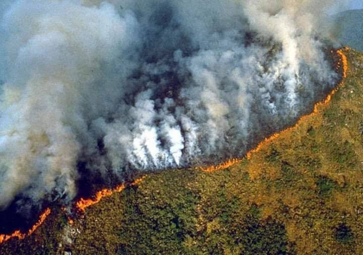 Rừng Amazon bị thiêu cháy trong 16 ngày qua: 