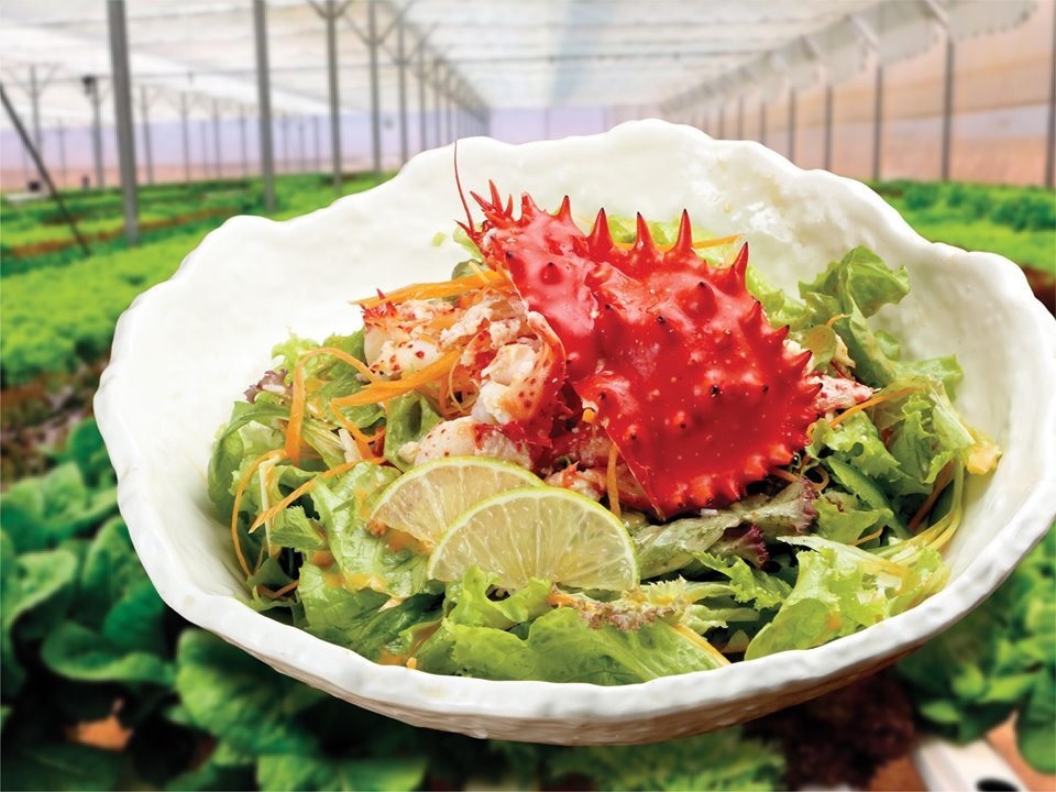    
Hanasaki Salad (Salad cua Hanasaki): với hàng loạt các món được chế biến từ cua Hanasaki, thì thực khách được cân bằng lại bằng rau xanh tươi mát lấy trưc tiếp từ trang trại rau của nhà hàng Sushi Hokkaido Sachi - sốt chua ngọt - cùng thịt cua Hanasaki hảo hạn chắc chắn là sự lựa chọn không thể bỏ lỡ