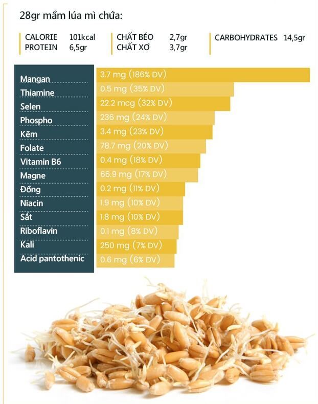 
Thành phần dinh dưỡng trong 28gr lúa mì