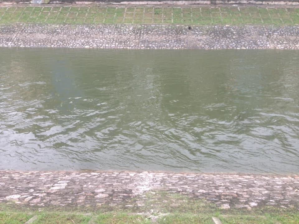  
Làn nước trong sạch của sông Tô Lịch.