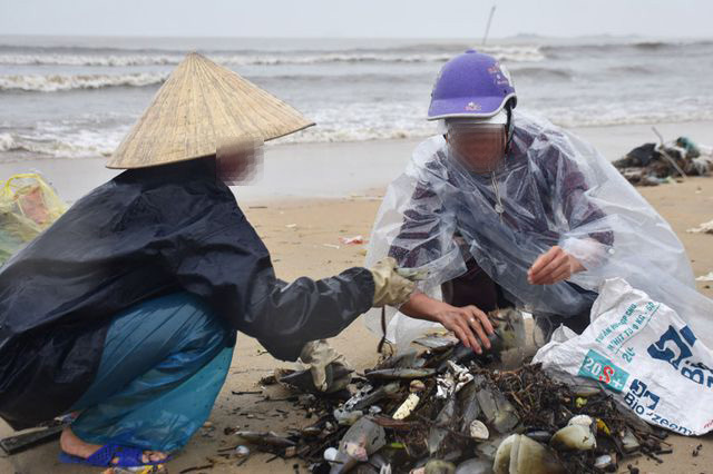 Cả tấn sò vẹm tràn vào bờ sau cơn bão, người dân Hà Tĩnh 