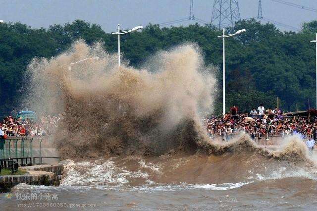 Bất chấp nguy hiểm, hàng nghìn người chen nhau xem ngọn sóng cao 9 mét