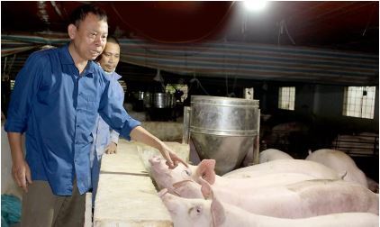  
Trang trại nuôi lợn của ông Hữu và bà Oanh ngày càng ăn nên làm ra (ảnh: Vnexpress)