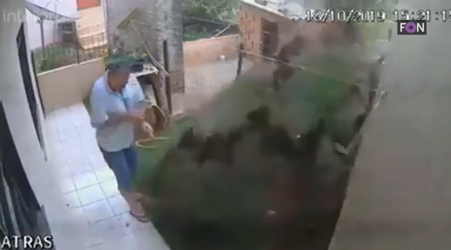 Người đàn ông làm nổ tung cả khu vườn của mình vì diệt gián