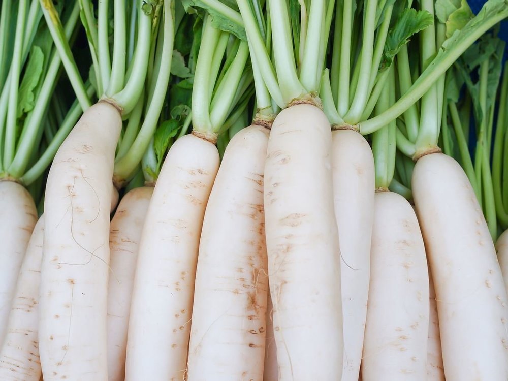 
Trong 100 gam củ cải trắng có đến 2.9 mg chất sắt