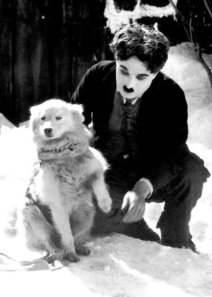 Cuối cùng là hình ảnh của một nhân vật quen thuộc gắn bó với tuổi thơ của khá nhiều người đó là Vua hề Sác-lô - Charlie Chaplin. Trong ảnh là ông Vua hề quen thuộc với nhiều lứa tuổi khán giả bên cạnh chú chó của mình. Đây à hình ảnh trong phim hài The Gold Rush ghi lại vào năm 1925.