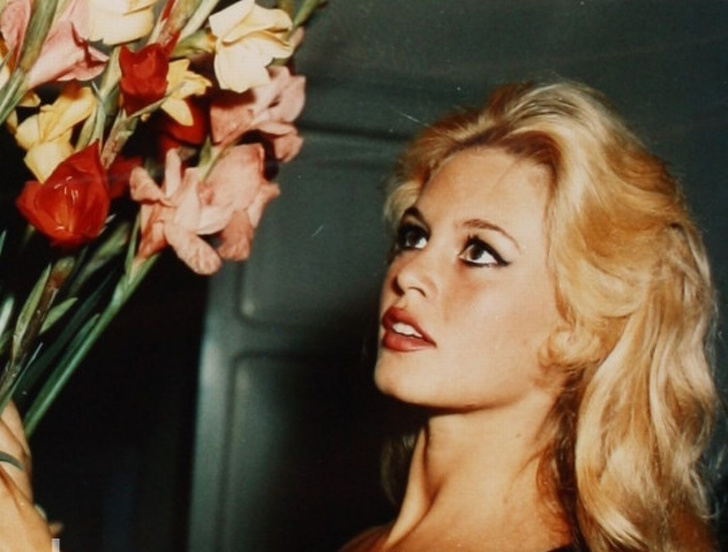  
Vẻ đẹp động lòng người của nữ diễn viên Brigitte Bardot.