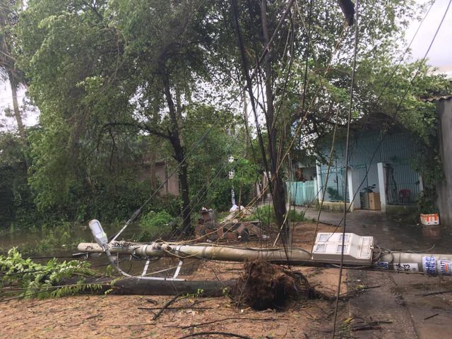  
Hình ảnh cây trụ điện bị gió của cơn bão số 5 quật ngã khiến một số địa bàn trong khu vực tình Quảng Ngãi rơi vào tình trạng mất điện. (Ảnh: Dân trí)