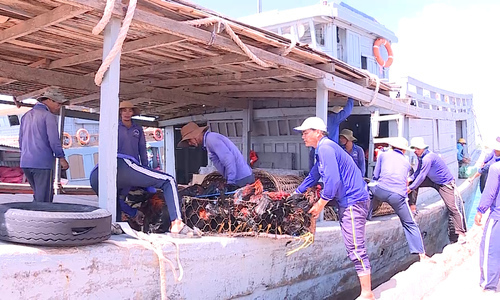  
Hình ảnh người dân ở đảo Lý Sơn đang tích trữ lương thực để đón bão. (Ảnh: Vnexpress)