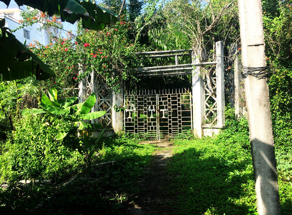 Lối vào nghĩa trang của dòng họ Trần Trinh um tùm cây cối.