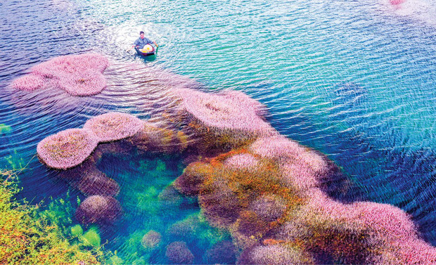  
Hồ Tảo Hồng