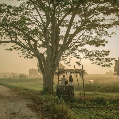  
Hình ảnh "cây cô đơn" xuất hiện trong phim Mắt Biếc. (Ảnh: Check in Việt Nam)
