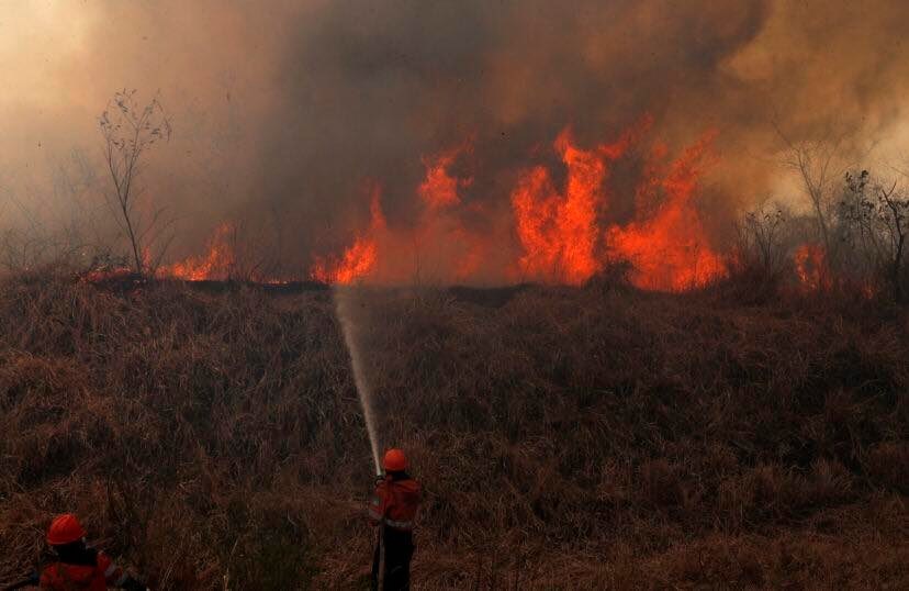  
Tổng thống Brazil cho rằng đám cháy là được gây ra nhằm mục đích chụp ảnh rồi gây quỹ lấy tiền. (Ảnh: BBC)