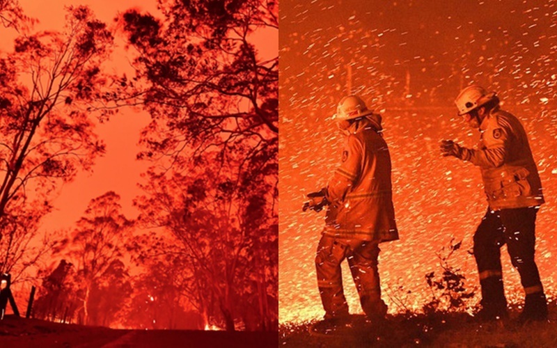  
Vụ cháy rừng ở Úc đã diễn ra ròng rã hơn 2 tháng trời, gây ra những thiệt hại khá nặng nề. (Ảnh: BBC, Reuters)