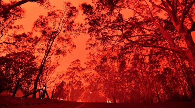  
Vụ cháy rừng ở Úc gây ra thiệt hại không nhỏ (Ảnh: BBC)