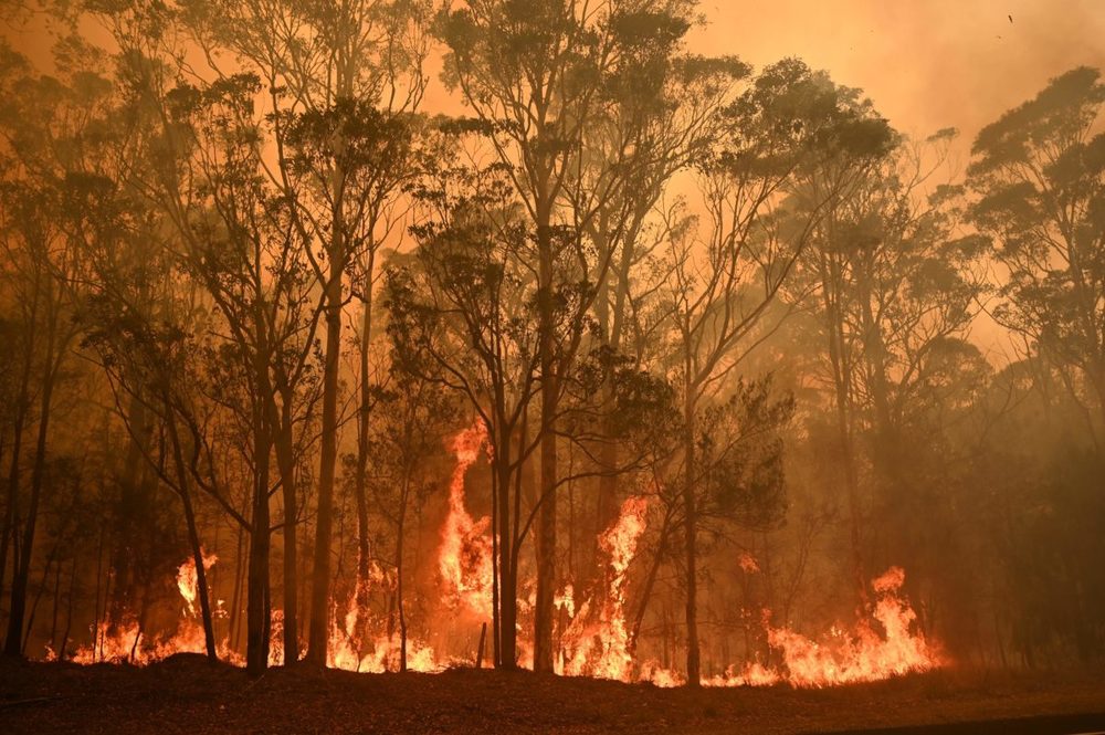  
Nhiều giải pháp đã được thực hiện để giải quyết cháy rừng ở Úc.