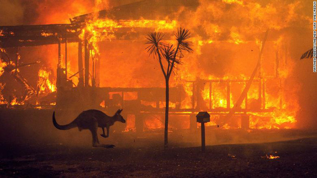  
Cháy rừng kinh hoàng ở Úc (Ảnh: BBC)