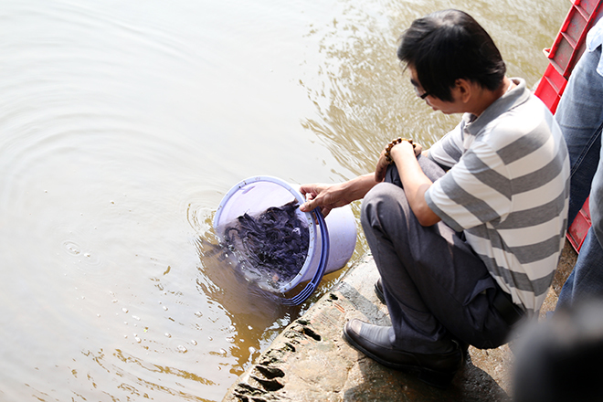  
Mọi người thả cá ở bờ sông Sài Gòn.