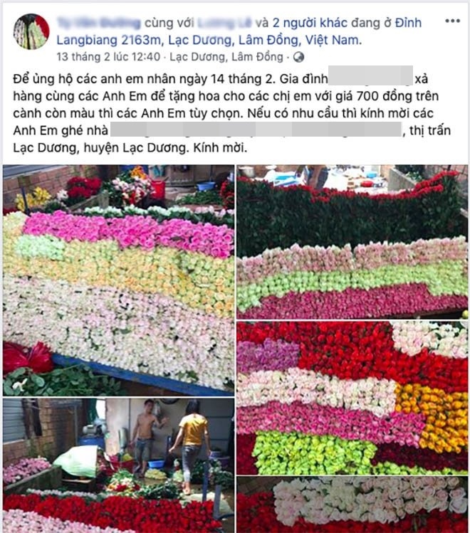  
Chính nhà vườn cũng rao bán với giá 700 đồng/bông trên mạng để mong bán được hoa (Ảnh chụp màn hình)