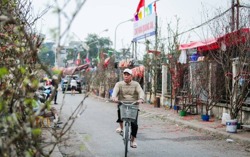  
Mặc dù hết Tết rồi nhưng chợ hoa Quảng Bá vẫn luôn được người dân chú ý.