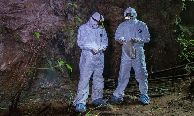  
Các chuyên gia khám phá trong hang động ở Vân Nam, Trung Quốc